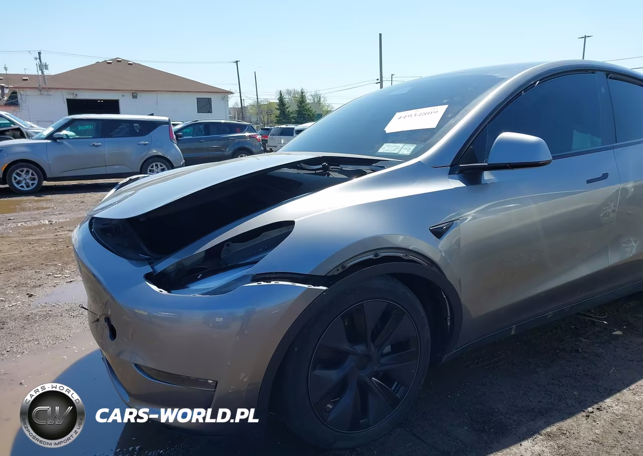 2025 Tesla Model Y Long Range Dual Motor All-Wheel Drive VIN:7SAYGDEE1SF297457 - 6