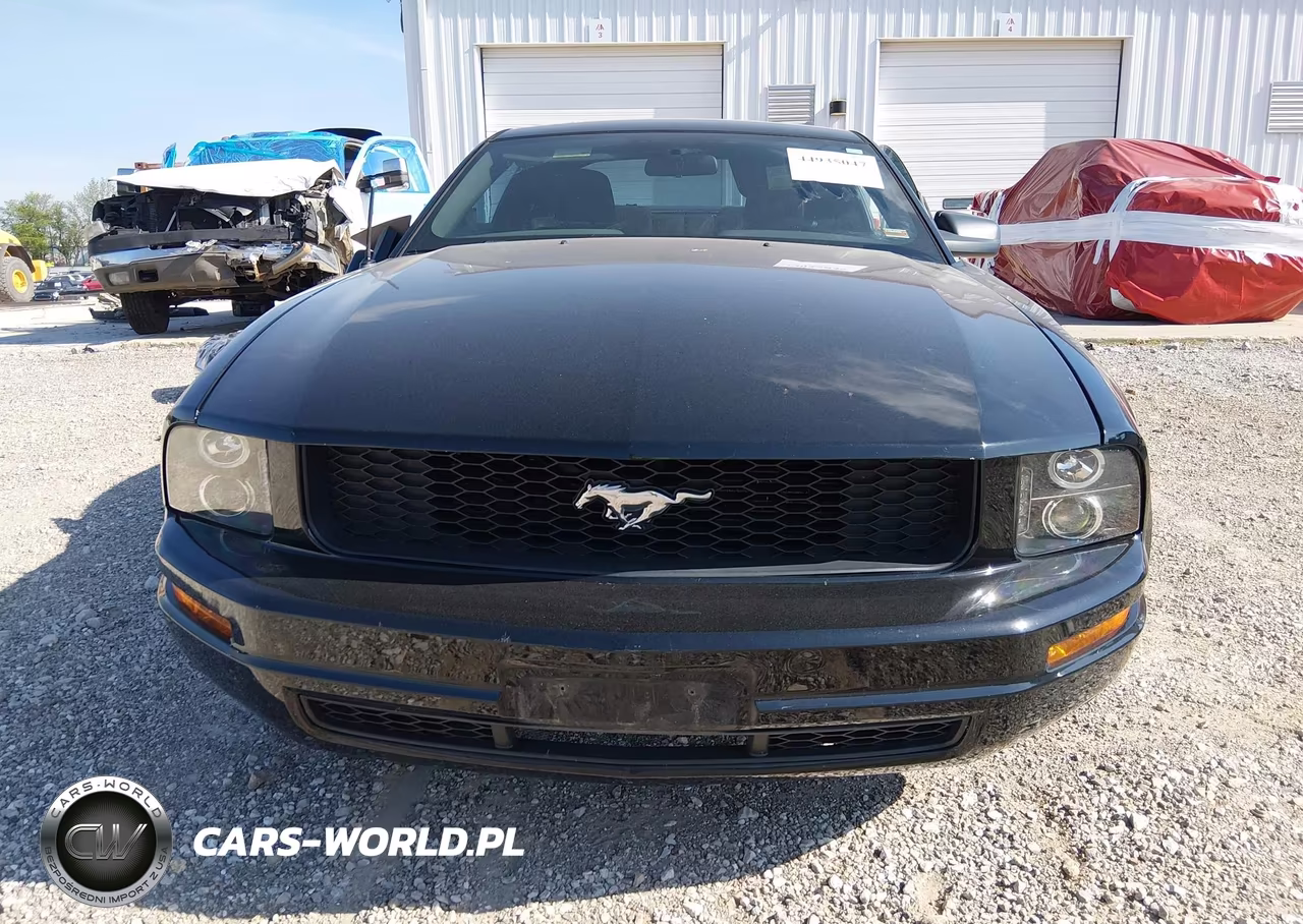 2005 Ford Mustang VIN:1ZVFT80N455114330 - 12