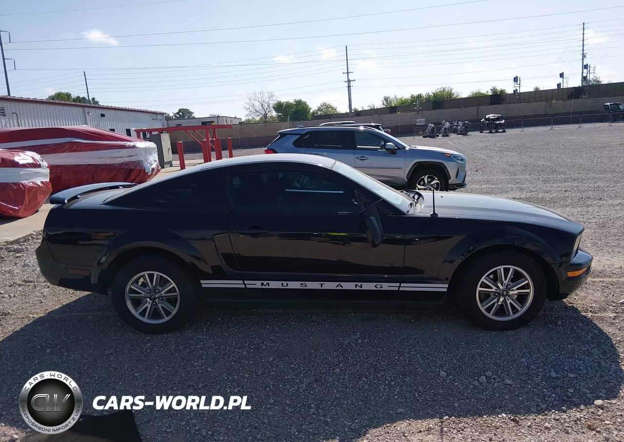 2005 Ford Mustang VIN:1ZVFT80N455114330 - 13