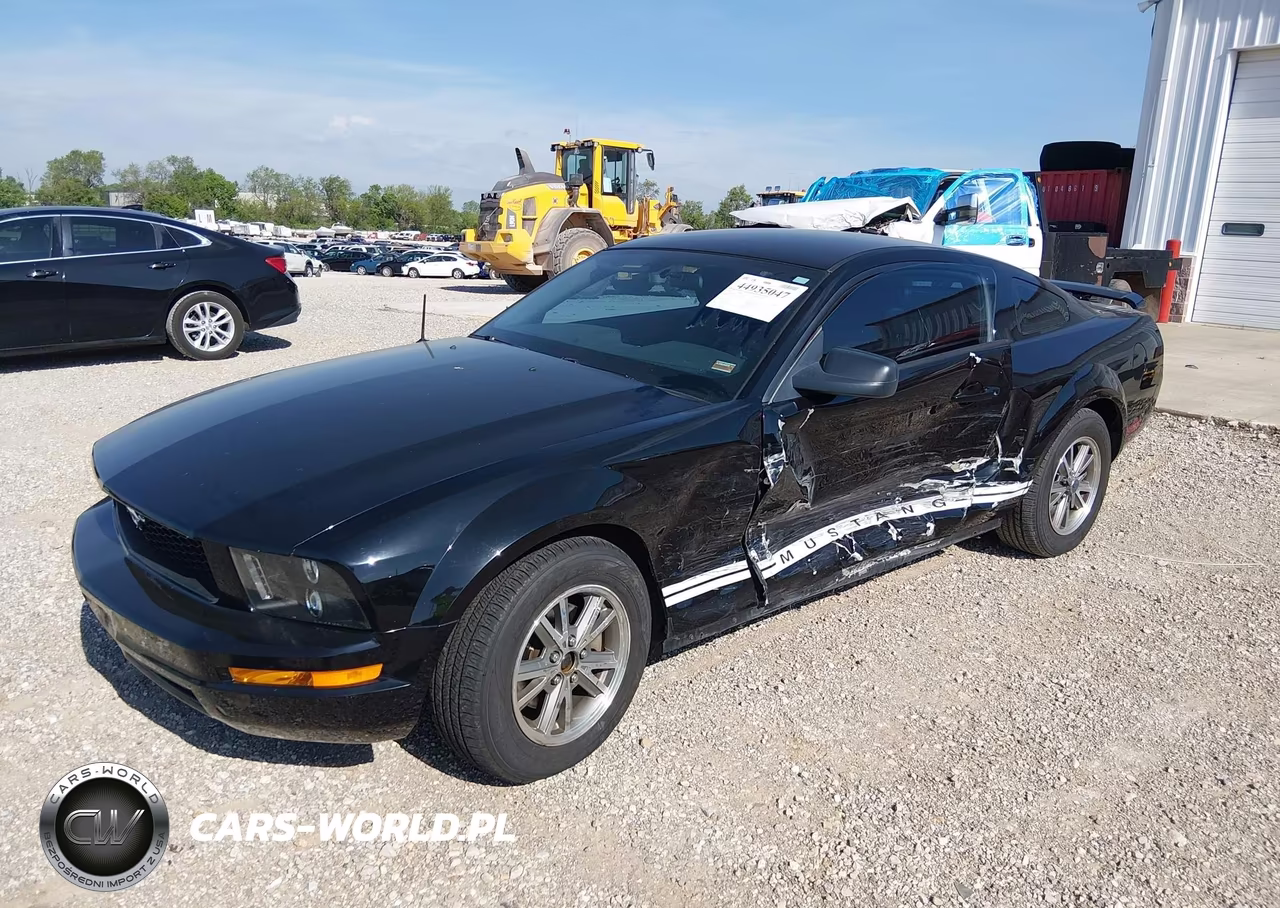 2005 Ford Mustang VIN:1ZVFT80N455114330 - 2