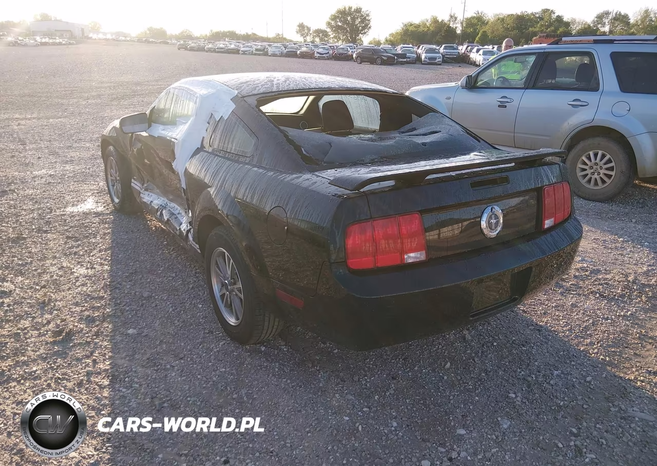 2005 Ford Mustang VIN:1ZVFT80N455114330 - 3