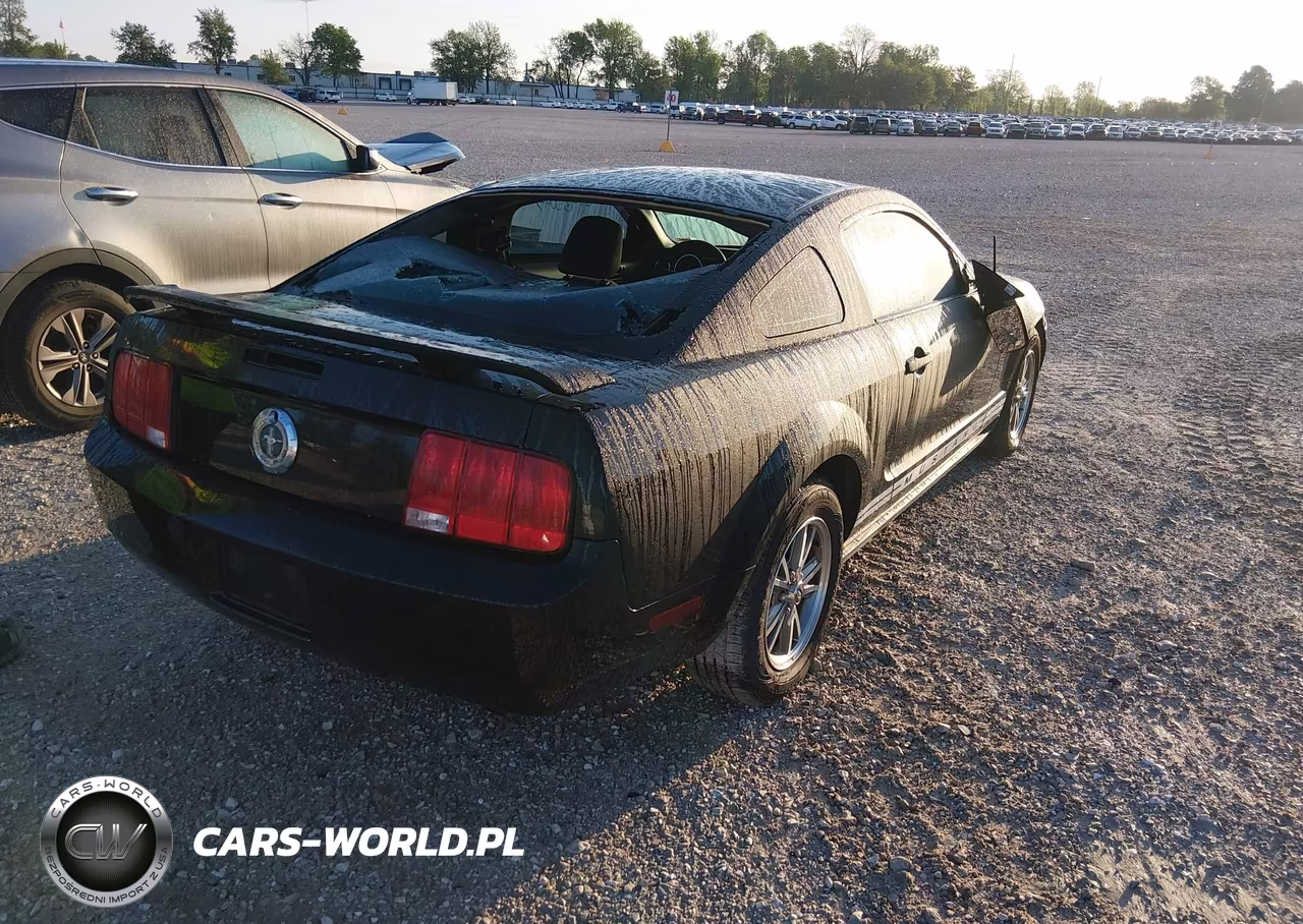 2005 Ford Mustang VIN:1ZVFT80N455114330 - 4