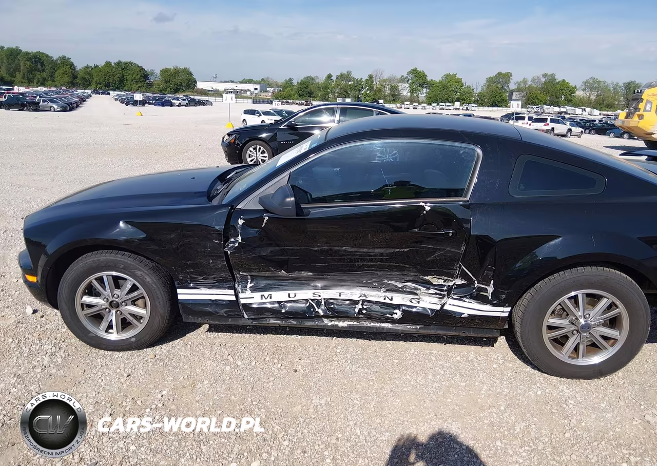 2005 Ford Mustang VIN:1ZVFT80N455114330 - 6
