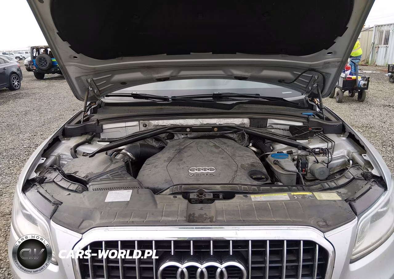 2014 Audi Q5 3.0 Tdi Premium Plus VIN:WA1CMAFPXEA060231 - 10