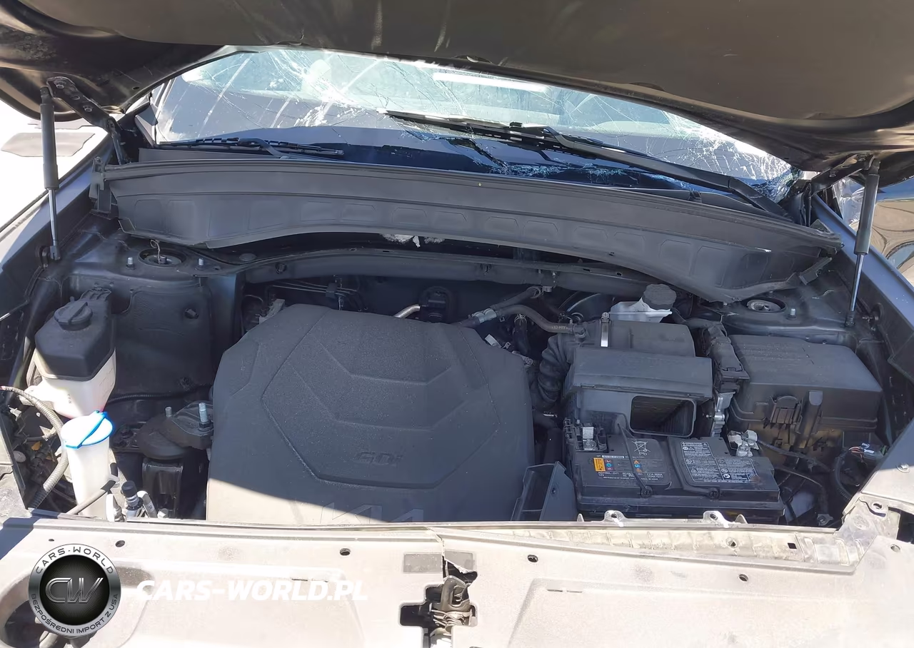 2022 Kia Telluride Ex VIN:5XYP34HC3NG304050 - 10