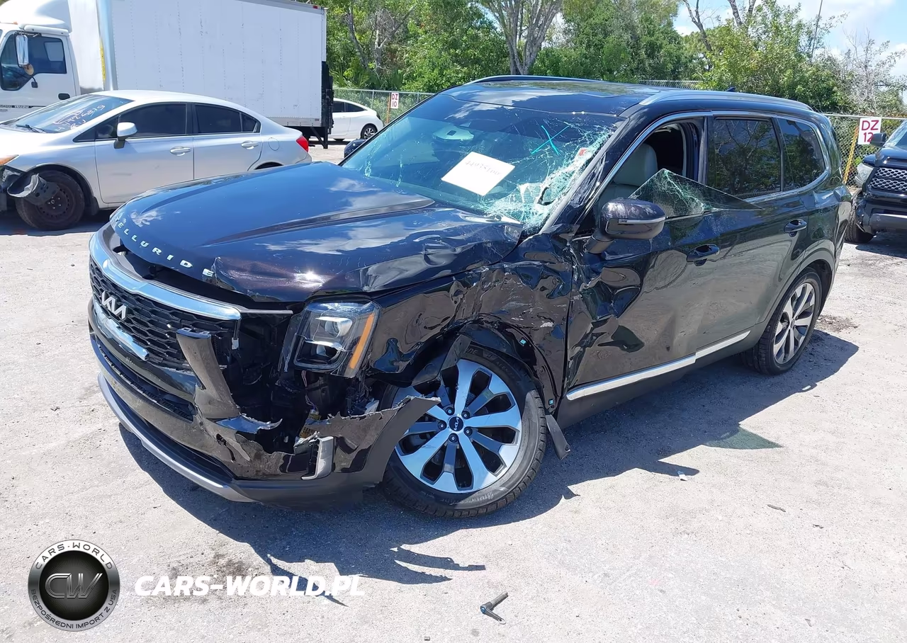 2022 Kia Telluride Ex VIN:5XYP34HC3NG304050 - 2