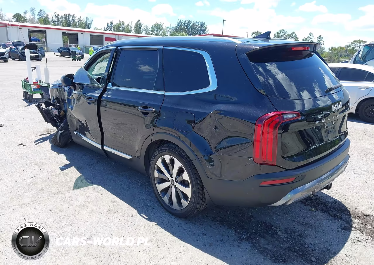 2022 Kia Telluride Ex VIN:5XYP34HC3NG304050 - 3