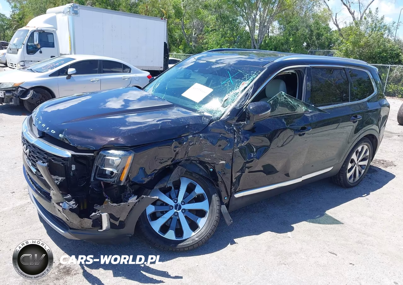 2022 Kia Telluride Ex VIN:5XYP34HC3NG304050 - 6