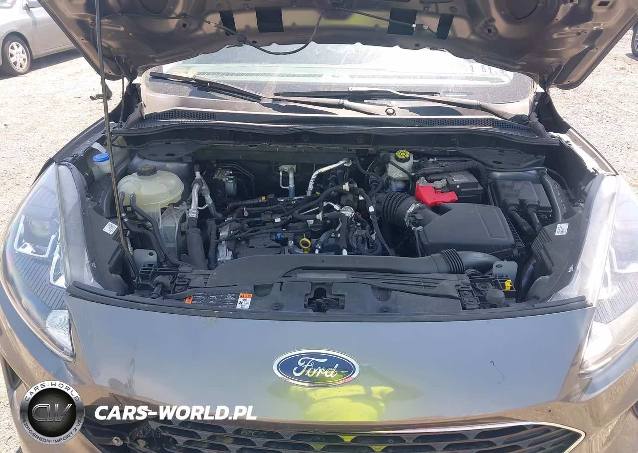 2022 Ford Escape Se VIN:1FMCU0G60NUA45754 - 10