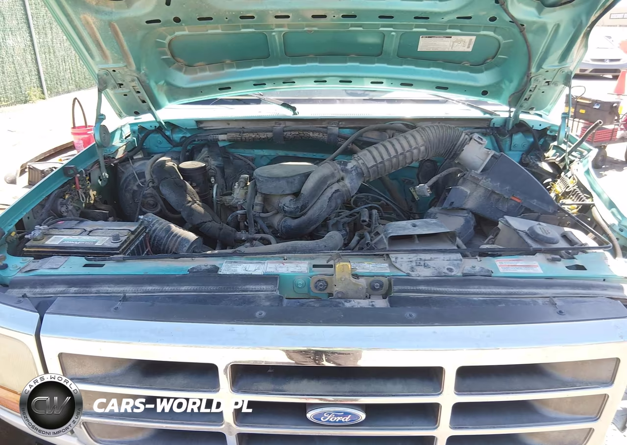 1994 Ford F150 VIN:1FTEX15N3RKB57972 - 10