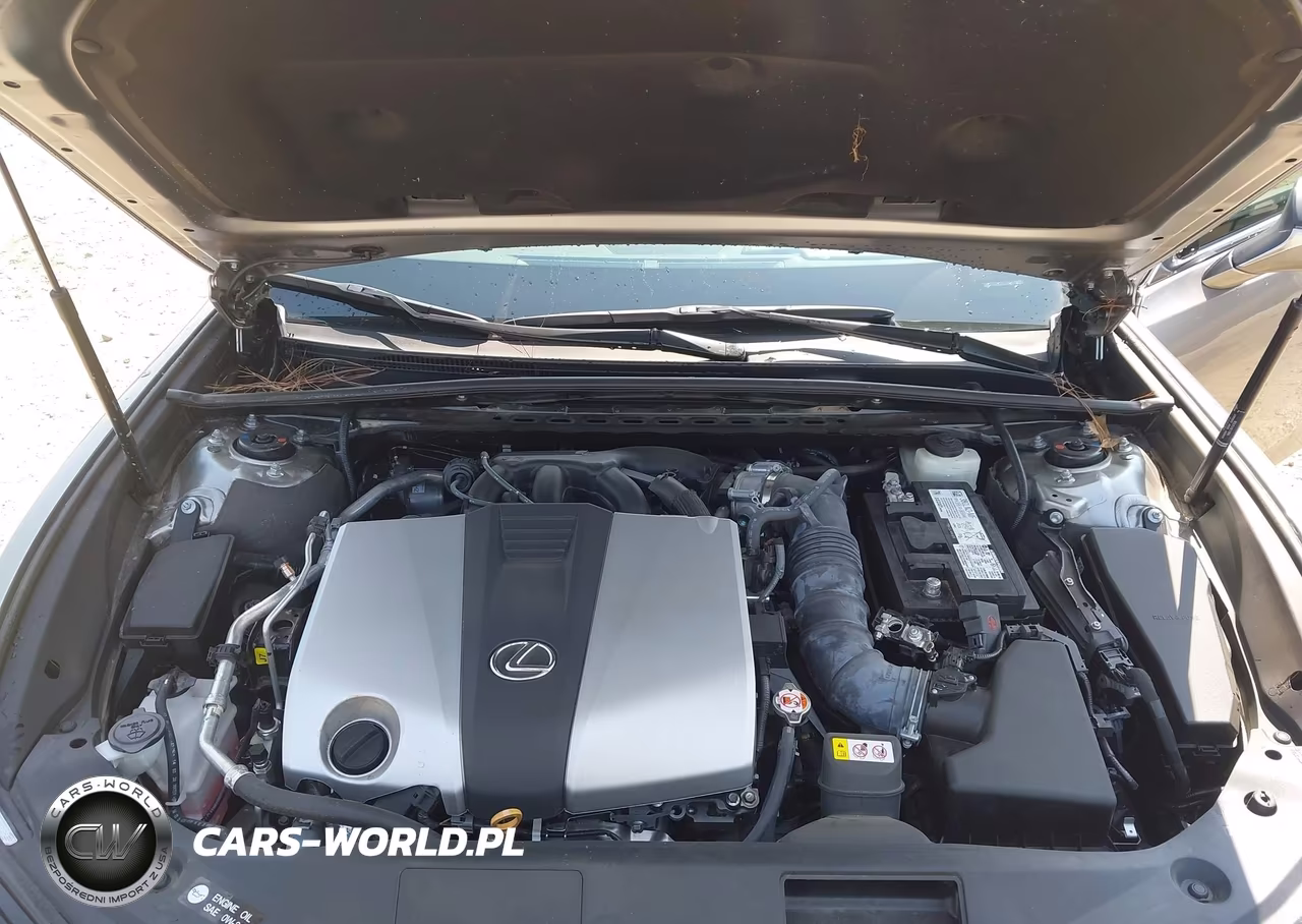 2021 Lexus Es 350 VIN:58ADZ1B10MU096931 - 10