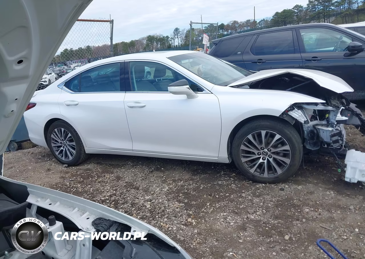 2021 Lexus Es 250 VIN:58AD11D19MU006406 - 13