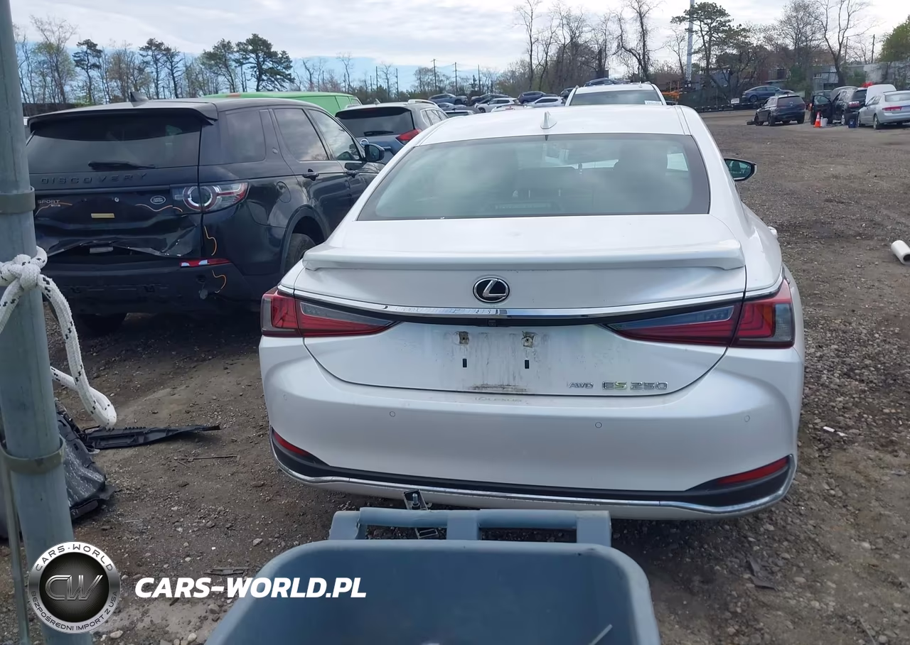2021 Lexus Es 250 VIN:58AD11D19MU006406 - 16