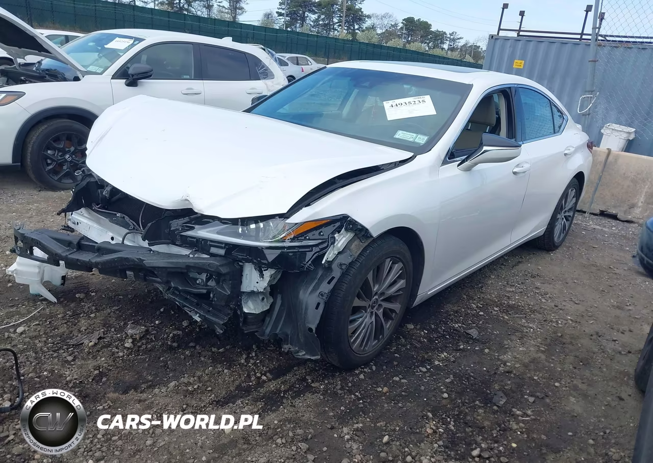 2021 Lexus Es 250 VIN:58AD11D19MU006406 - 2
