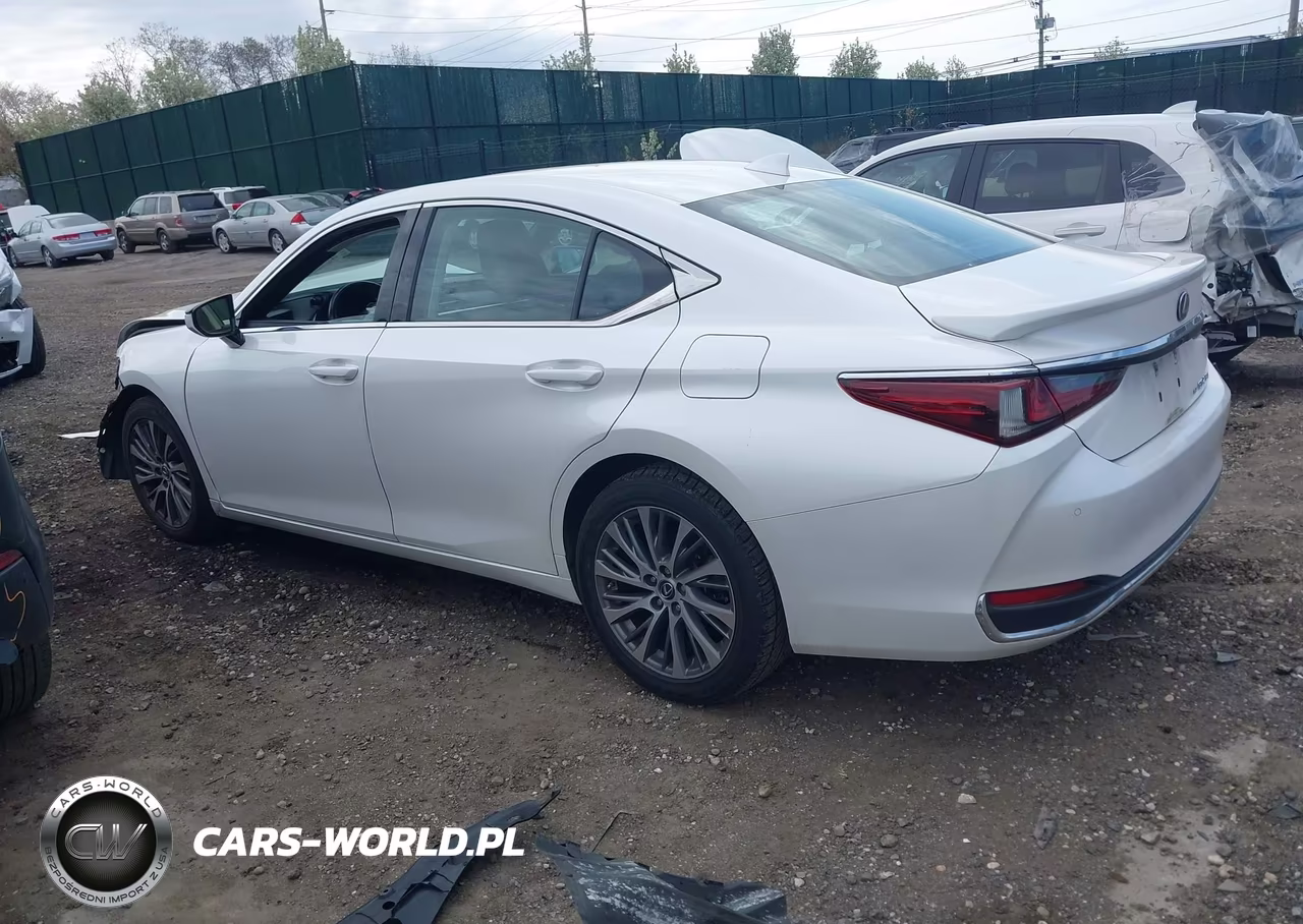 2021 Lexus Es 250 VIN:58AD11D19MU006406 - 3
