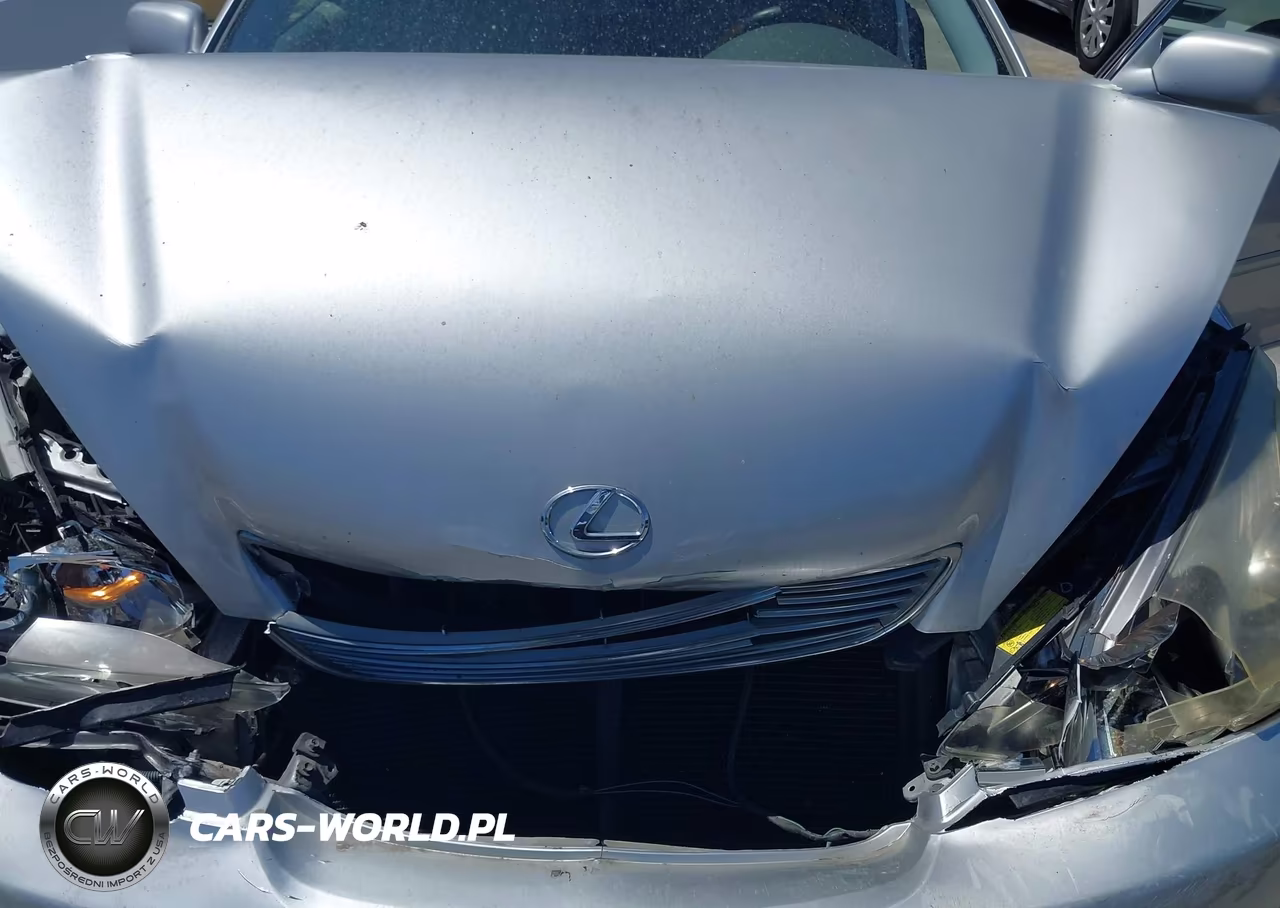 2006 Lexus Es 330 VIN:JTHBA30G365176006 - 10