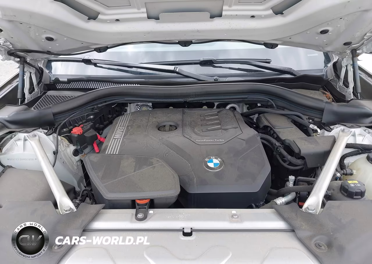 2021 BMW X3 Sdrive30I VIN:5UXTY3C0XM9H18984 - 10