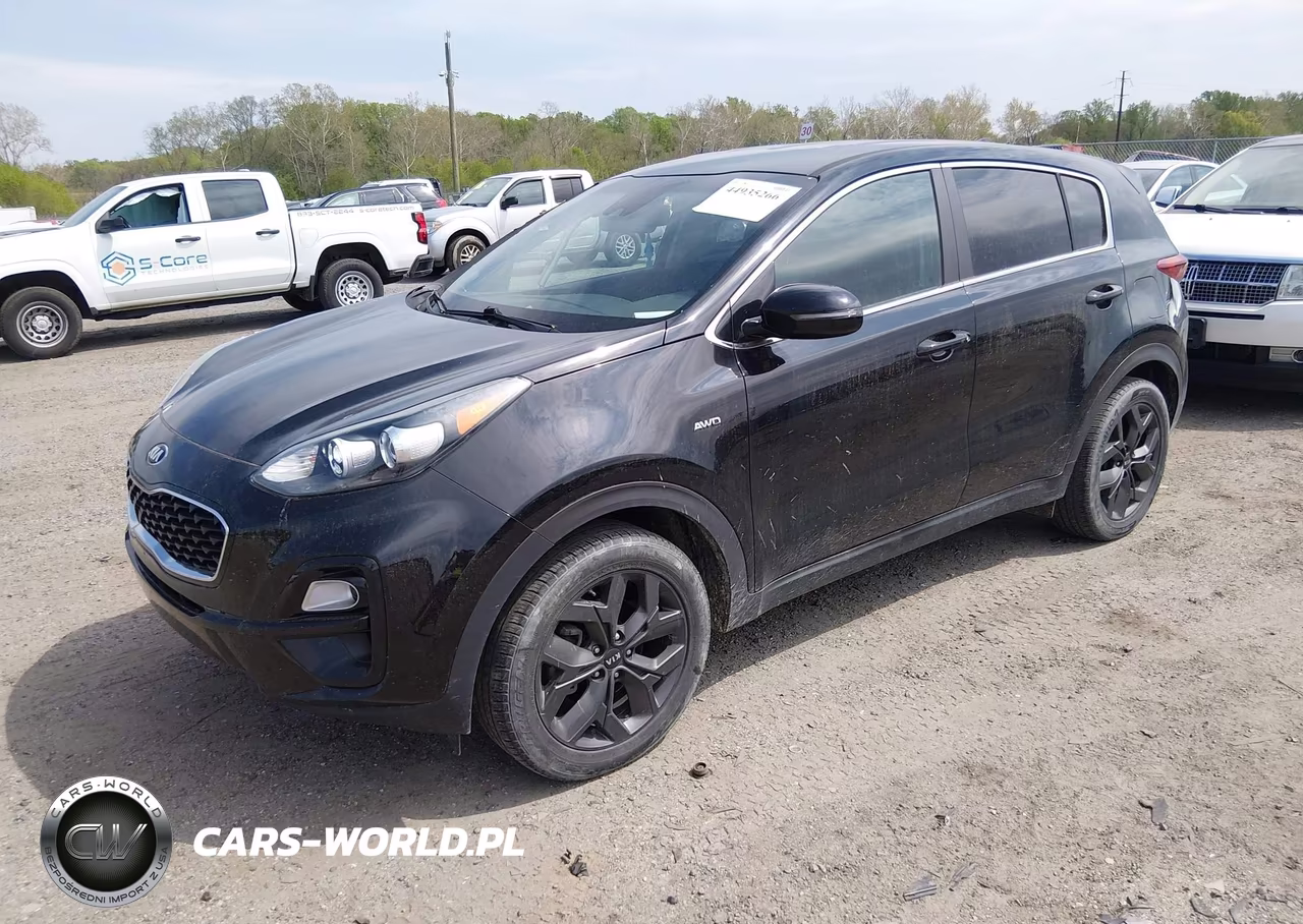 2022 Kia Sportage Lx VIN:KNDPMCAC1N7010208 - 2