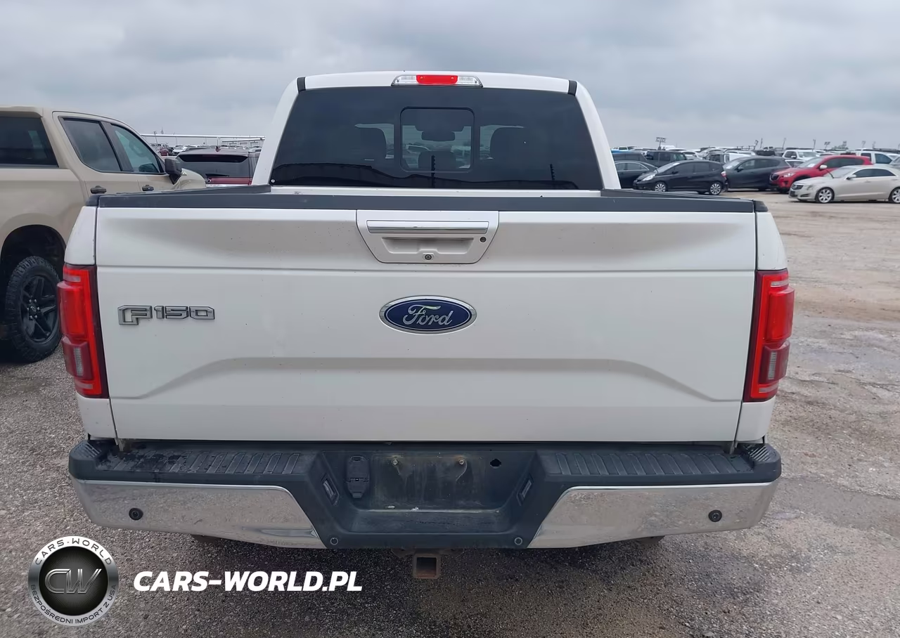 2015 Ford F-150 Lariat VIN:1FTEW1EG3FFA83879 - 16