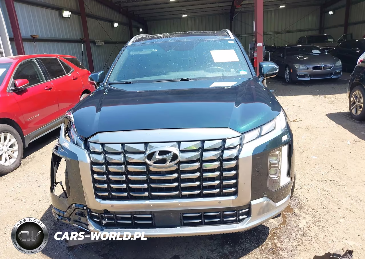 2025 Hyundai Palisade Calligraphy VIN:KM8R74GE8SU878701 - 12