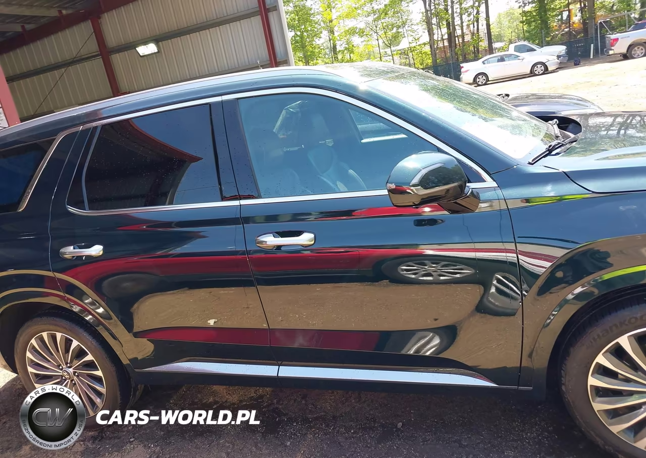 2025 Hyundai Palisade Calligraphy VIN:KM8R74GE8SU878701 - 13