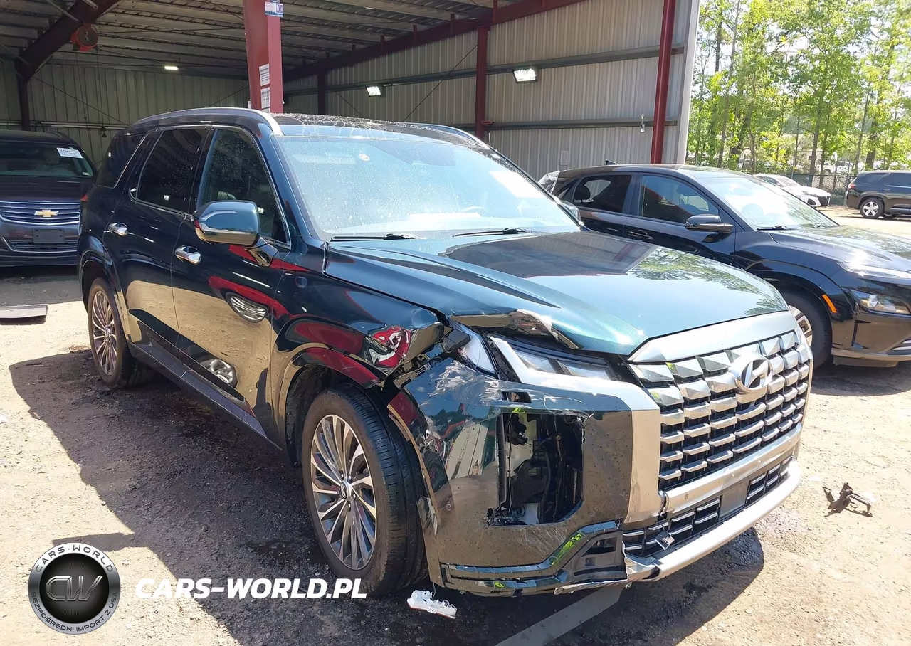 2025 Hyundai Palisade Calligraphy VIN:KM8R74GE8SU878701 - 6