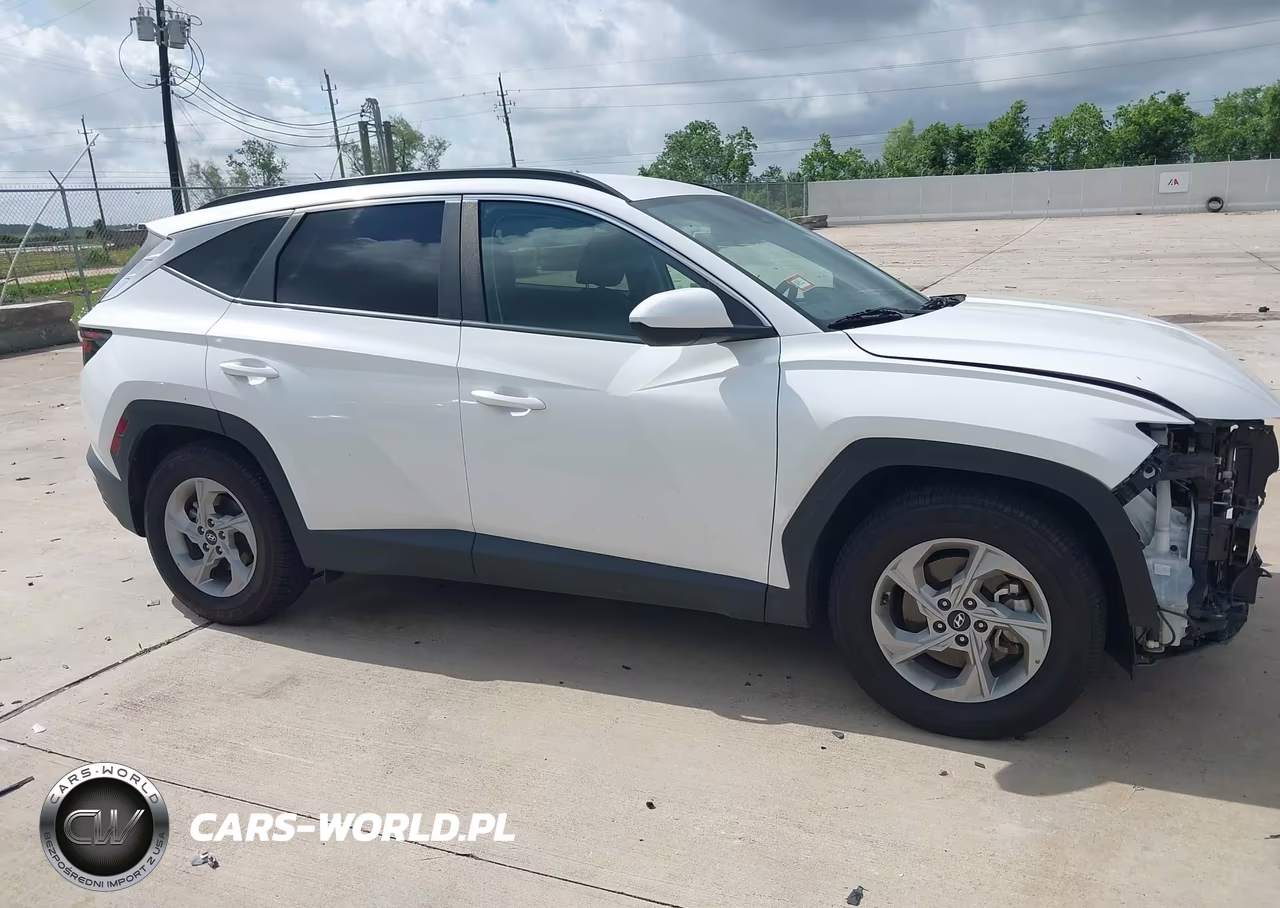 2024 Hyundai Tucson Sel VIN:5NMJB3DE6RH329613 - 13