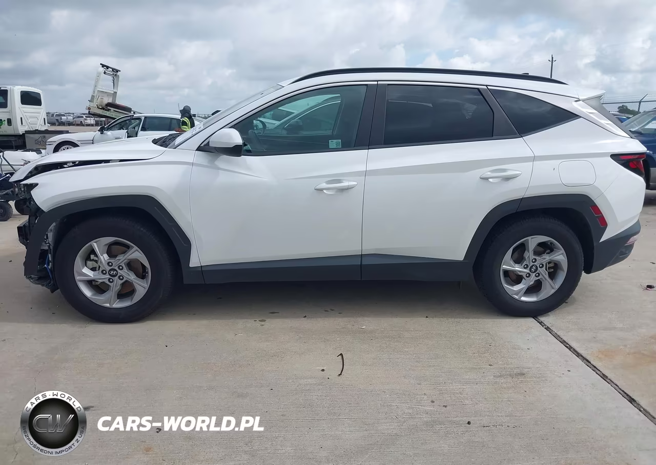 2024 Hyundai Tucson Sel VIN:5NMJB3DE6RH329613 - 14