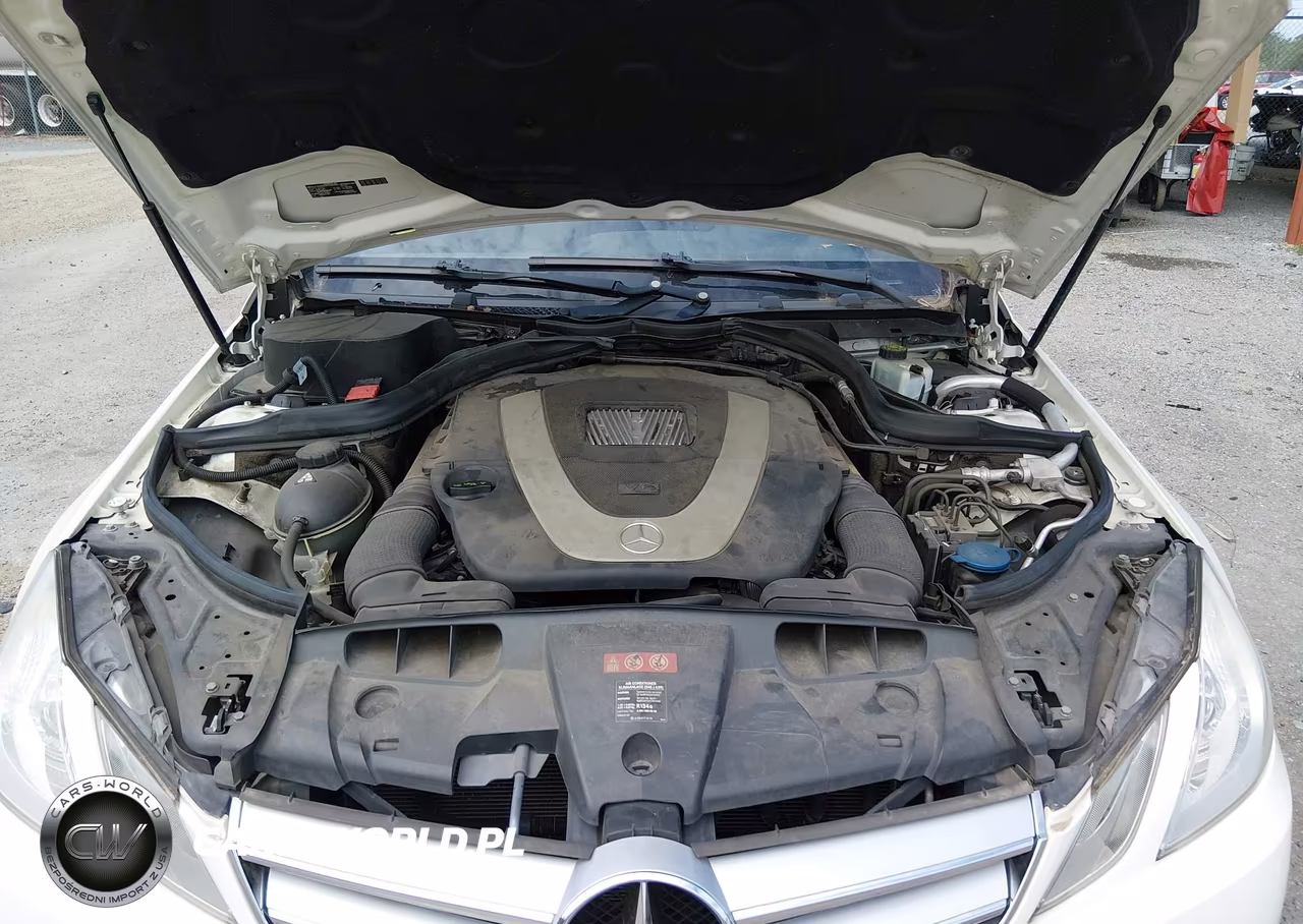 2011 Mercedes-Benz E 350 VIN:WDDKK5GF7BF116019 - 10