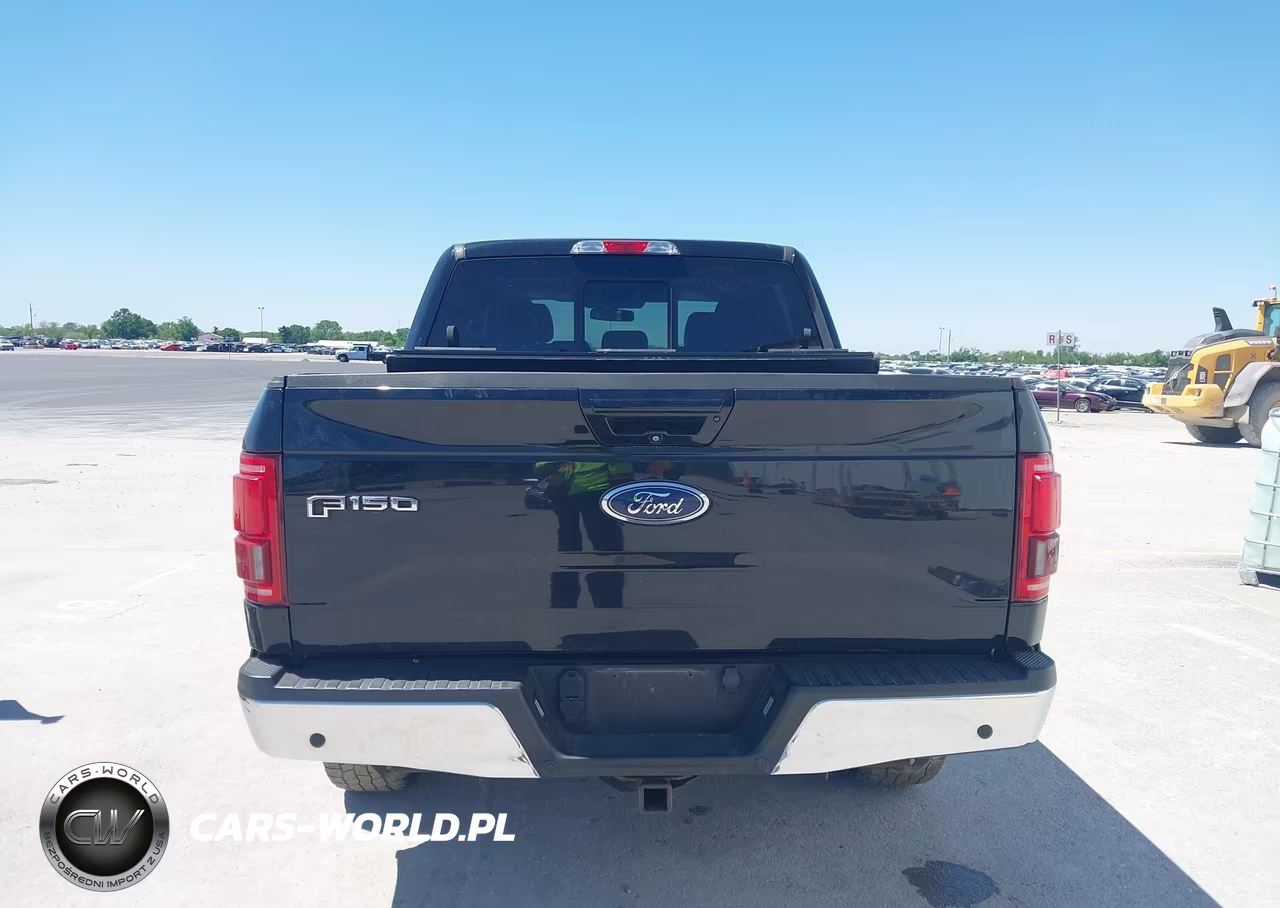 2016 Ford F-150 Lariat VIN:1FTEW1EP7GKE23964 - 17