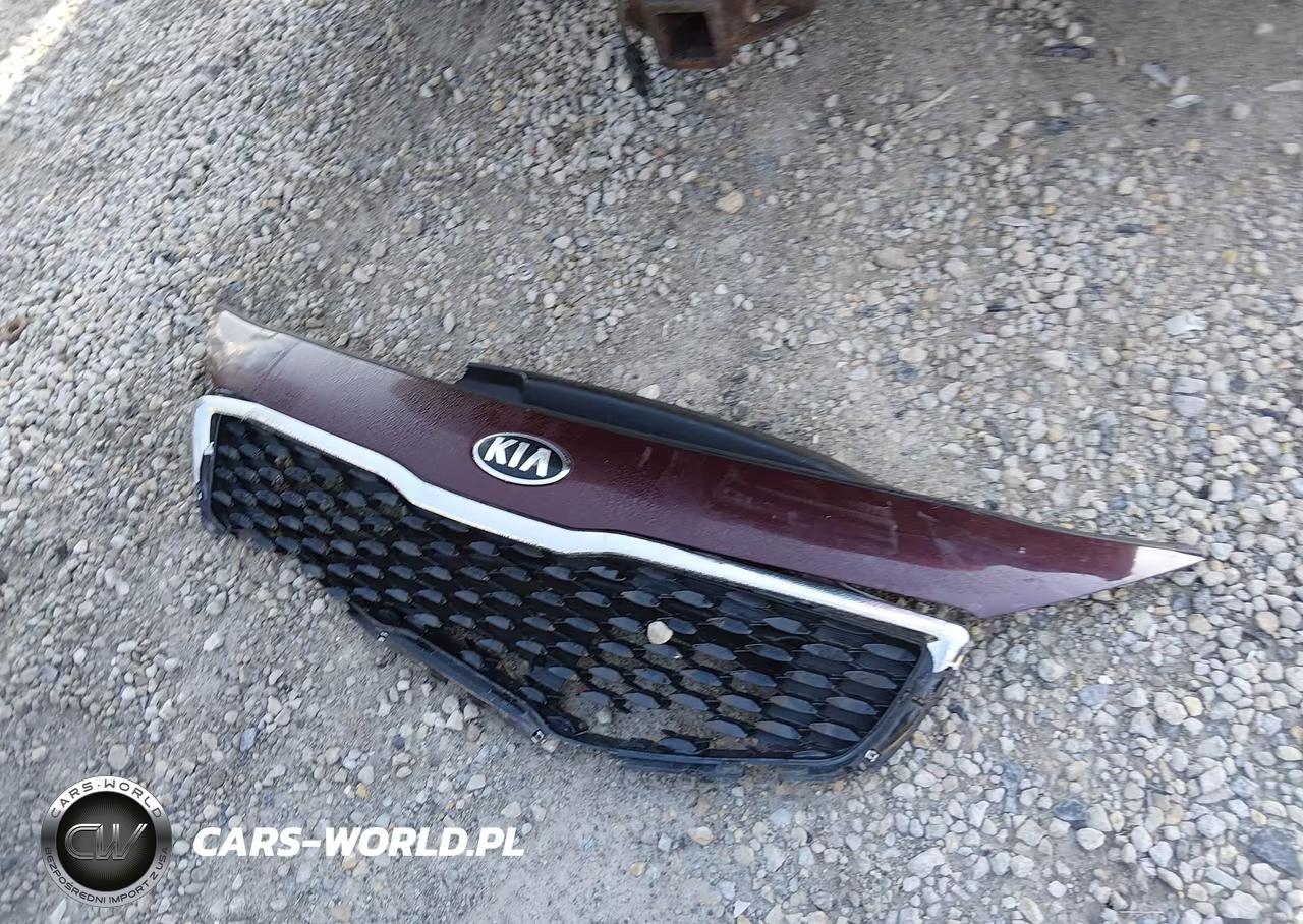 2017 Kia Forte Lx VIN:3KPFL4A79HE058485 - 12