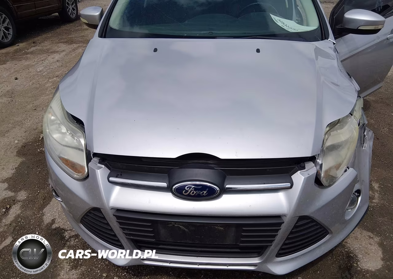 2014 Ford Focus Se VIN:1FADP3F20EL349047 - 10