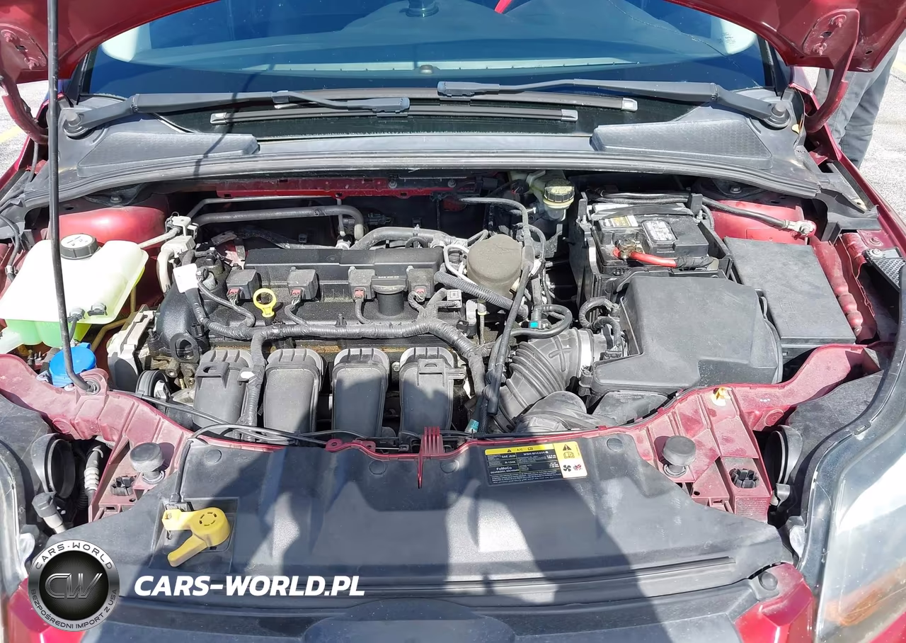 2013 Ford Focus Se VIN:1FADP3F21DL358743 - 10