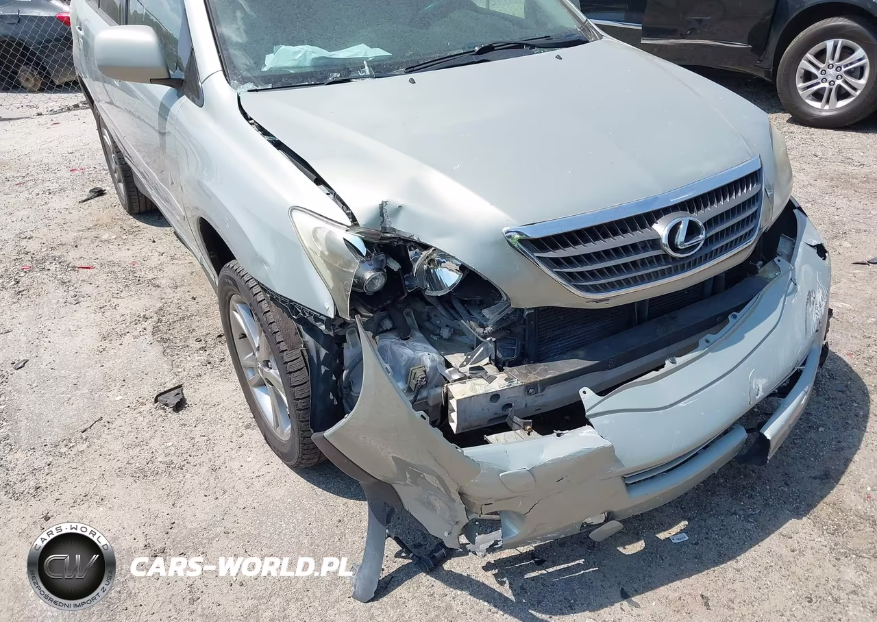 2006 Lexus Rx 400H VIN:JTJHW31U460021363 - 18