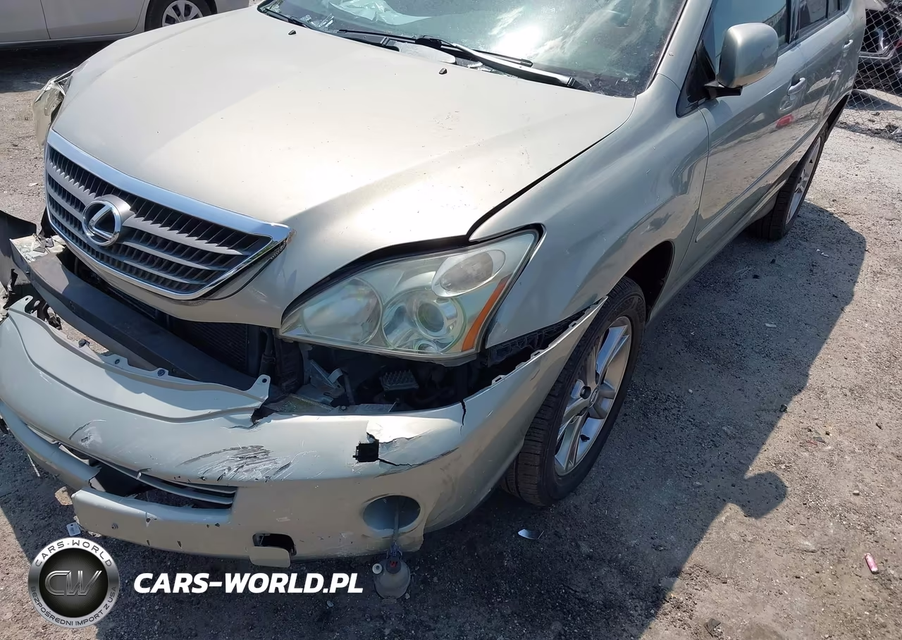 2006 Lexus Rx 400H VIN:JTJHW31U460021363 - 19