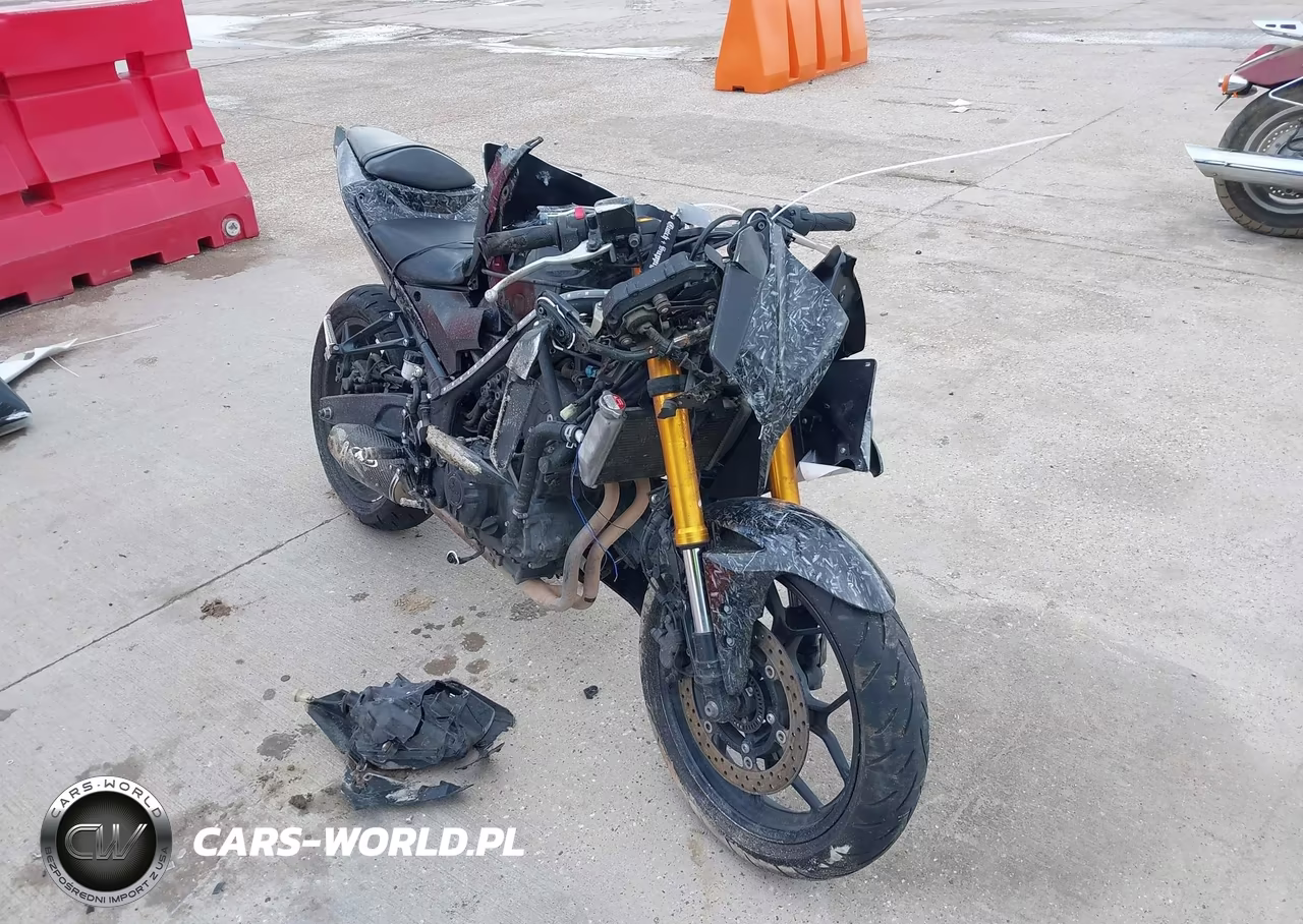 2019 Yamaha Yzfr3 A