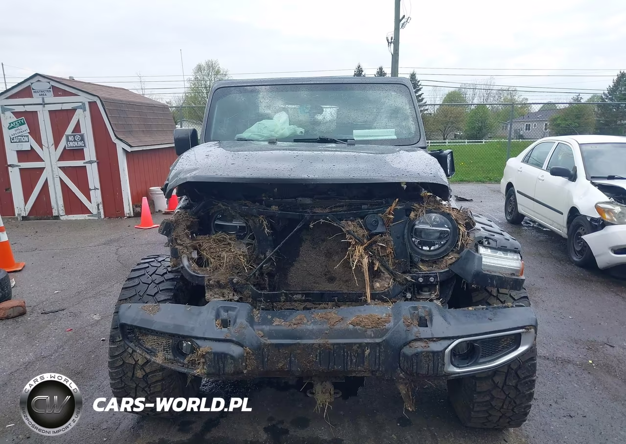 2019 Jeep Wrangler Unlimited Sahara 4X4 VIN:1C4HJXEG7KW568549 - 11