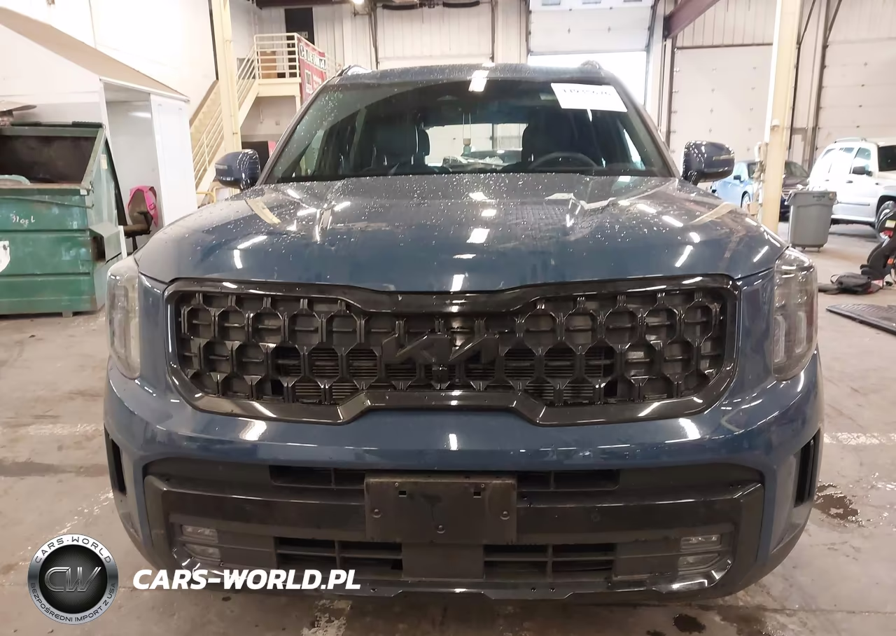 2025 Kia Telluride Sx-Sx X-Line-Sx Prestige-Sx Prestige X-Line-Sx Prestige X-Pro VIN:5XYP5DGC8SG648903 - 12