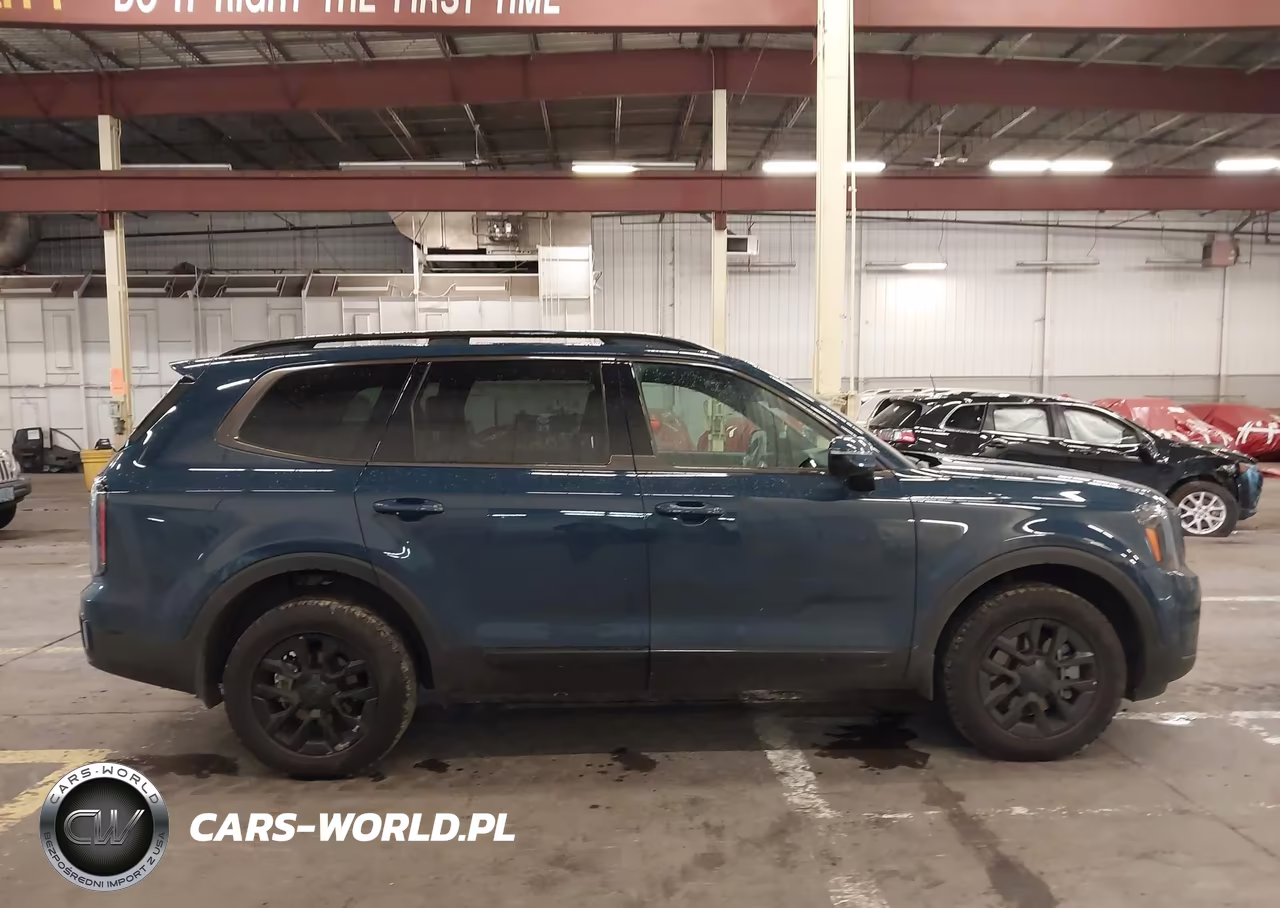 2025 Kia Telluride Sx-Sx X-Line-Sx Prestige-Sx Prestige X-Line-Sx Prestige X-Pro VIN:5XYP5DGC8SG648903 - 13