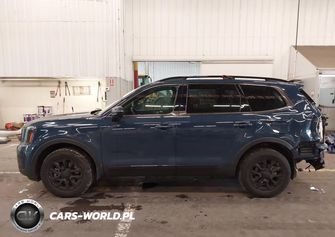 2025 Kia Telluride Sx-Sx X-Line-Sx Prestige-Sx Prestige X-Line-Sx Prestige X-Pro VIN:5XYP5DGC8SG648903 - 14