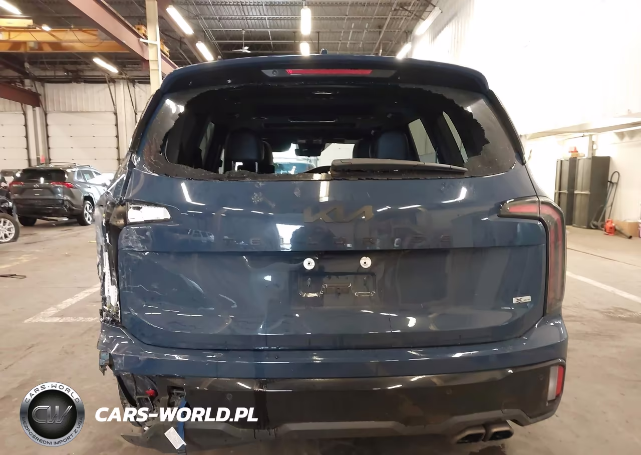 2025 Kia Telluride Sx-Sx X-Line-Sx Prestige-Sx Prestige X-Line-Sx Prestige X-Pro VIN:5XYP5DGC8SG648903 - 16
