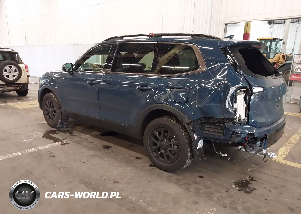2025 Kia Telluride Sx-Sx X-Line-Sx Prestige-Sx Prestige X-Line-Sx Prestige X-Pro VIN:5XYP5DGC8SG648903 - 3