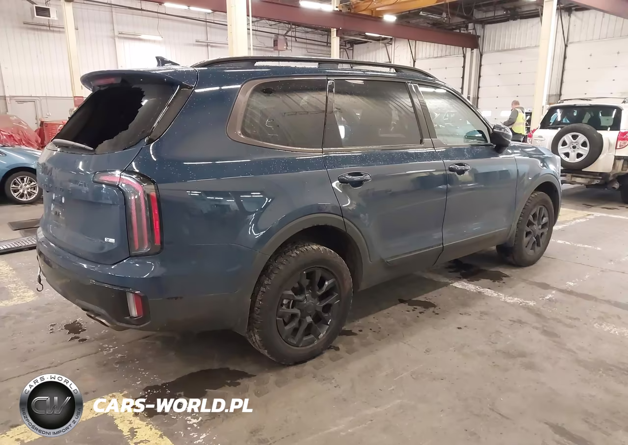 2025 Kia Telluride Sx-Sx X-Line-Sx Prestige-Sx Prestige X-Line-Sx Prestige X-Pro VIN:5XYP5DGC8SG648903 - 4