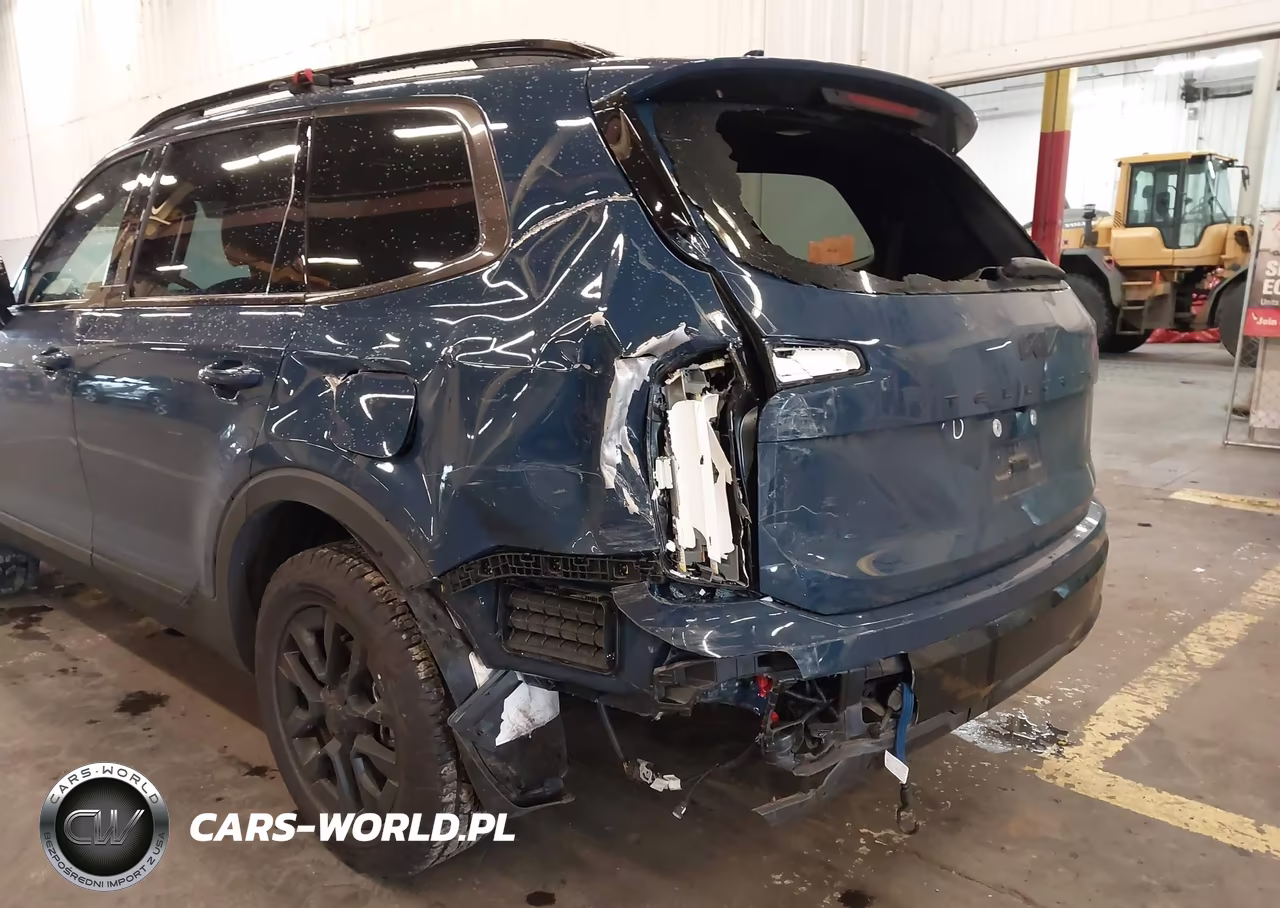 2025 Kia Telluride Sx-Sx X-Line-Sx Prestige-Sx Prestige X-Line-Sx Prestige X-Pro VIN:5XYP5DGC8SG648903 - 6