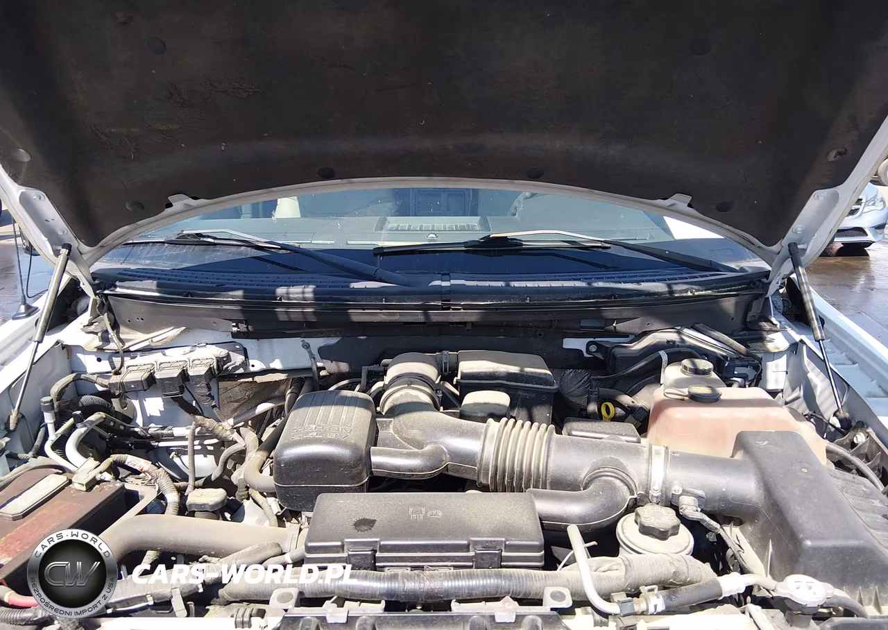 2010 Ford F-150 Fx4-Lariat-Xl-Xlt VIN:1FTFX1EV6AFD08921 - 10