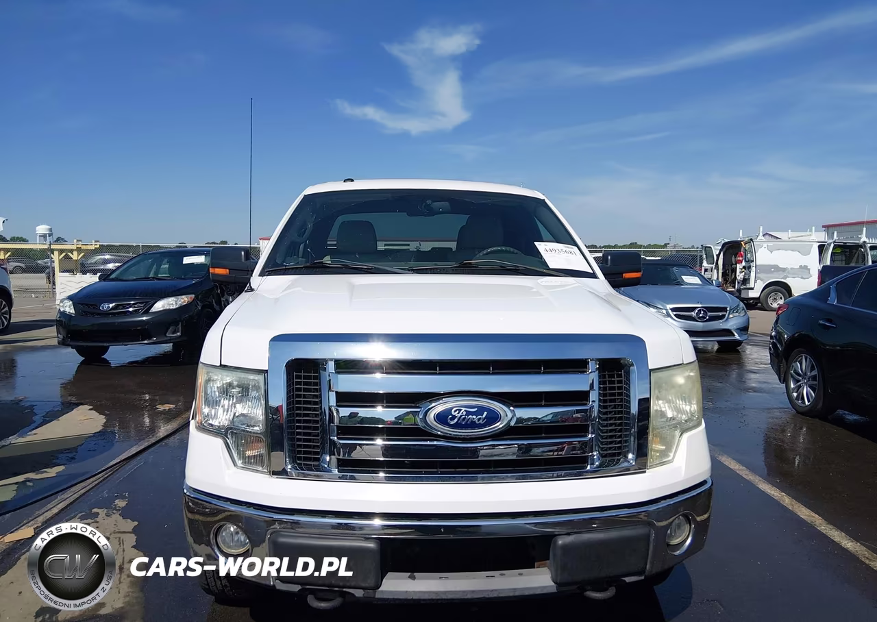 2010 Ford F-150 Fx4-Lariat-Xl-Xlt VIN:1FTFX1EV6AFD08921 - 12