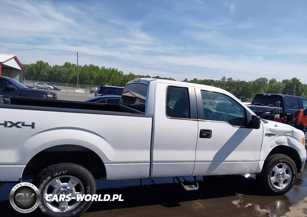 2010 Ford F-150 Fx4-Lariat-Xl-Xlt VIN:1FTFX1EV6AFD08921 - 13