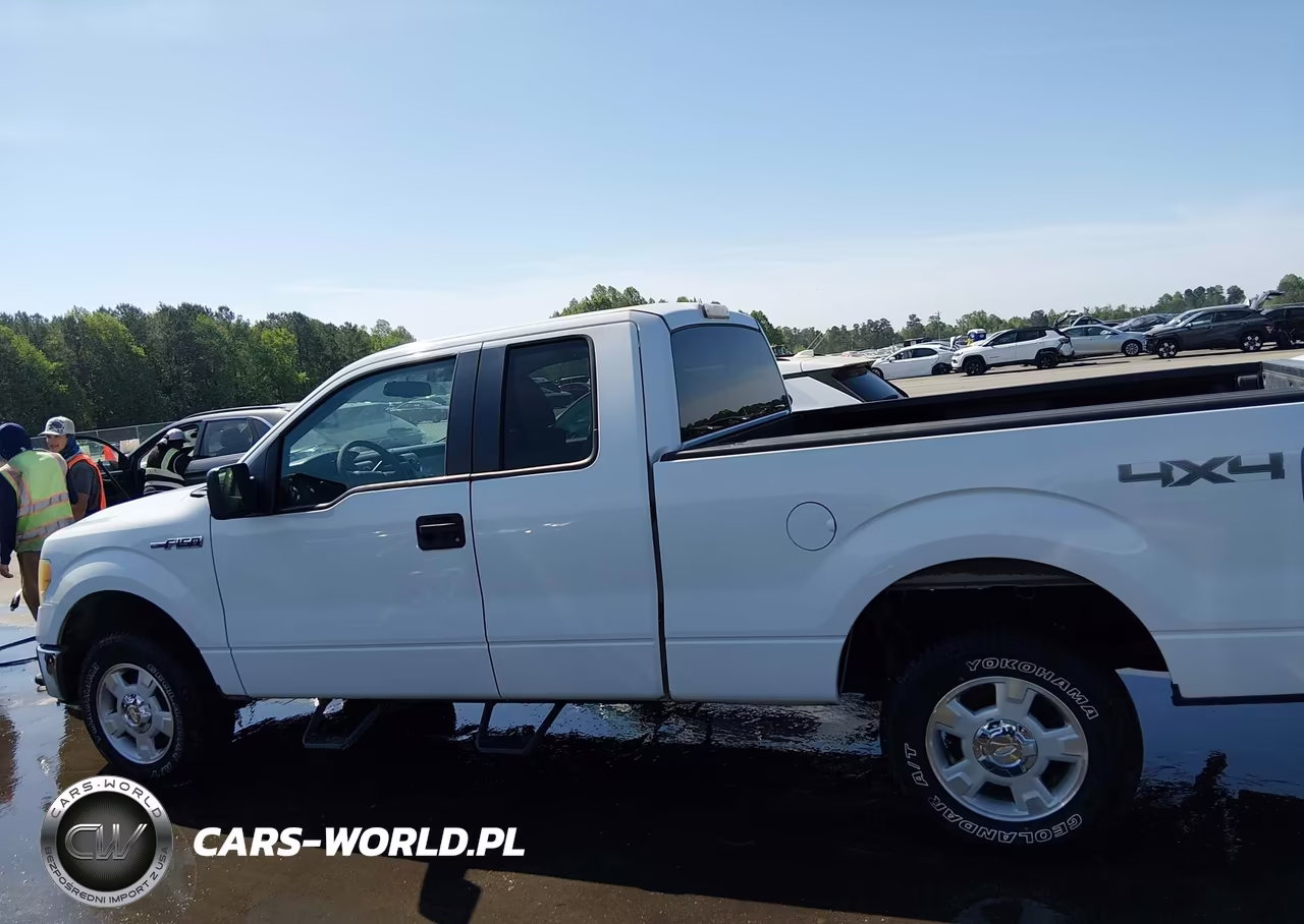 2010 Ford F-150 Fx4-Lariat-Xl-Xlt VIN:1FTFX1EV6AFD08921 - 14