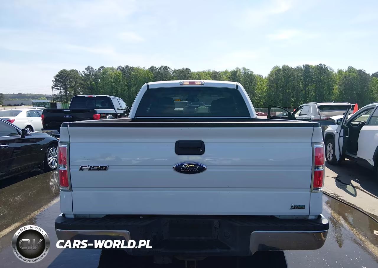 2010 Ford F-150 Fx4-Lariat-Xl-Xlt VIN:1FTFX1EV6AFD08921 - 16