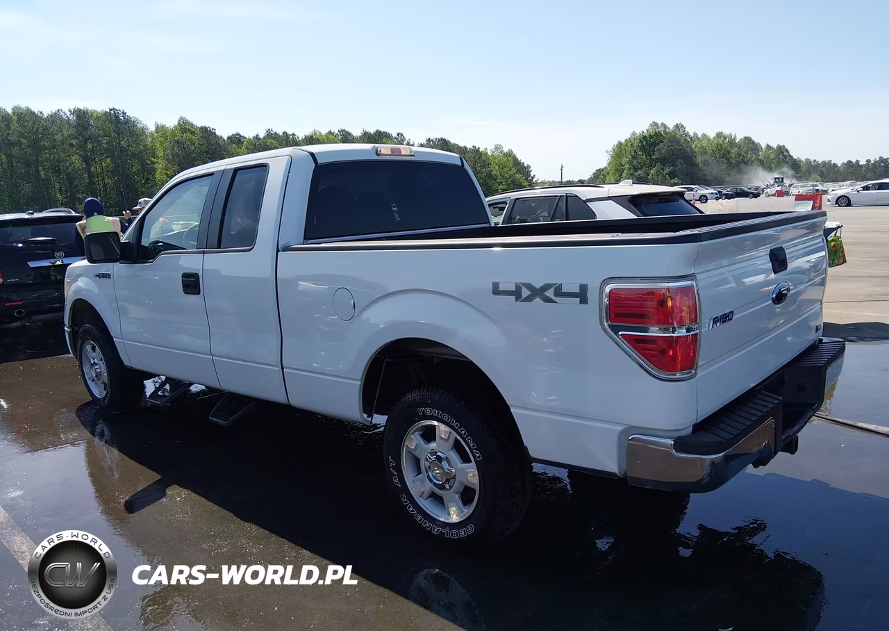 2010 Ford F-150 Fx4-Lariat-Xl-Xlt VIN:1FTFX1EV6AFD08921 - 3